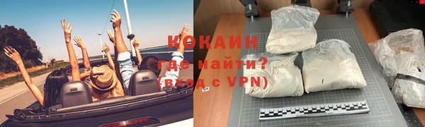 Альфа ПВП Няндома