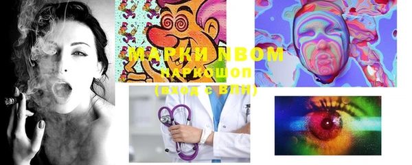 Альфа ПВП Няндома