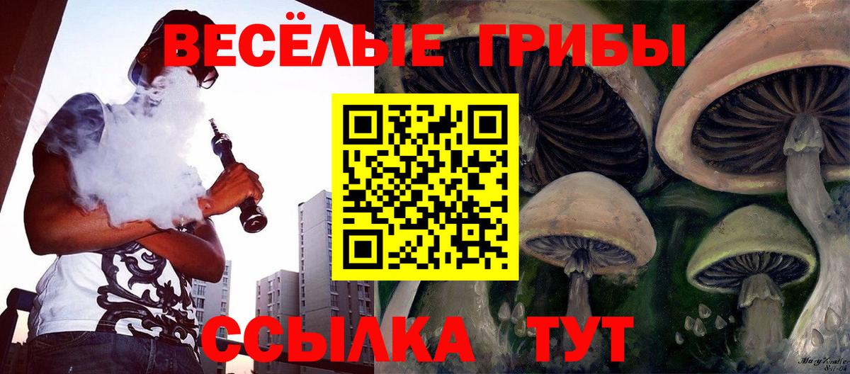 Зеленокумск  Галлюциногенные грибы GOLDEN TEACHER  Псилоцибиновые грибы прущие грибы  Вход с VPN 
