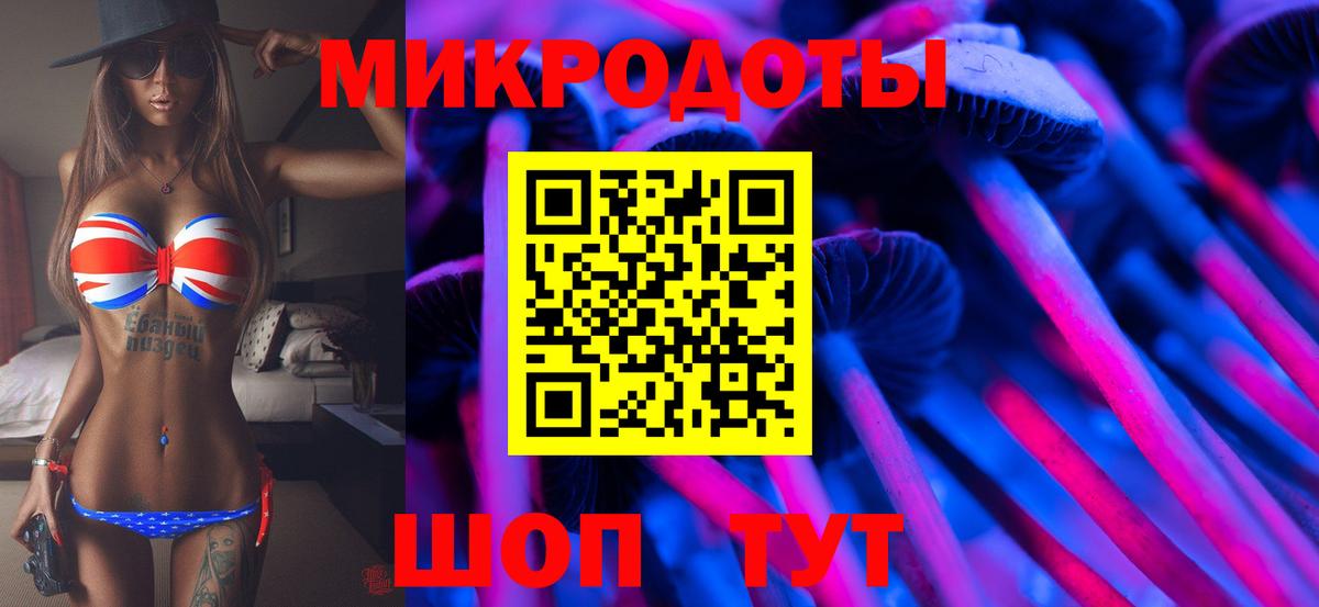 Псилоцибиновые грибы мицелий Зеленокумск